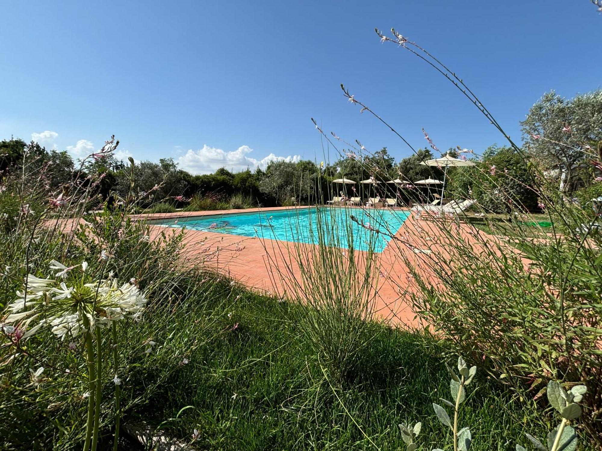 Nonna Nara Bed & Breakfast Grosseto Exterior foto