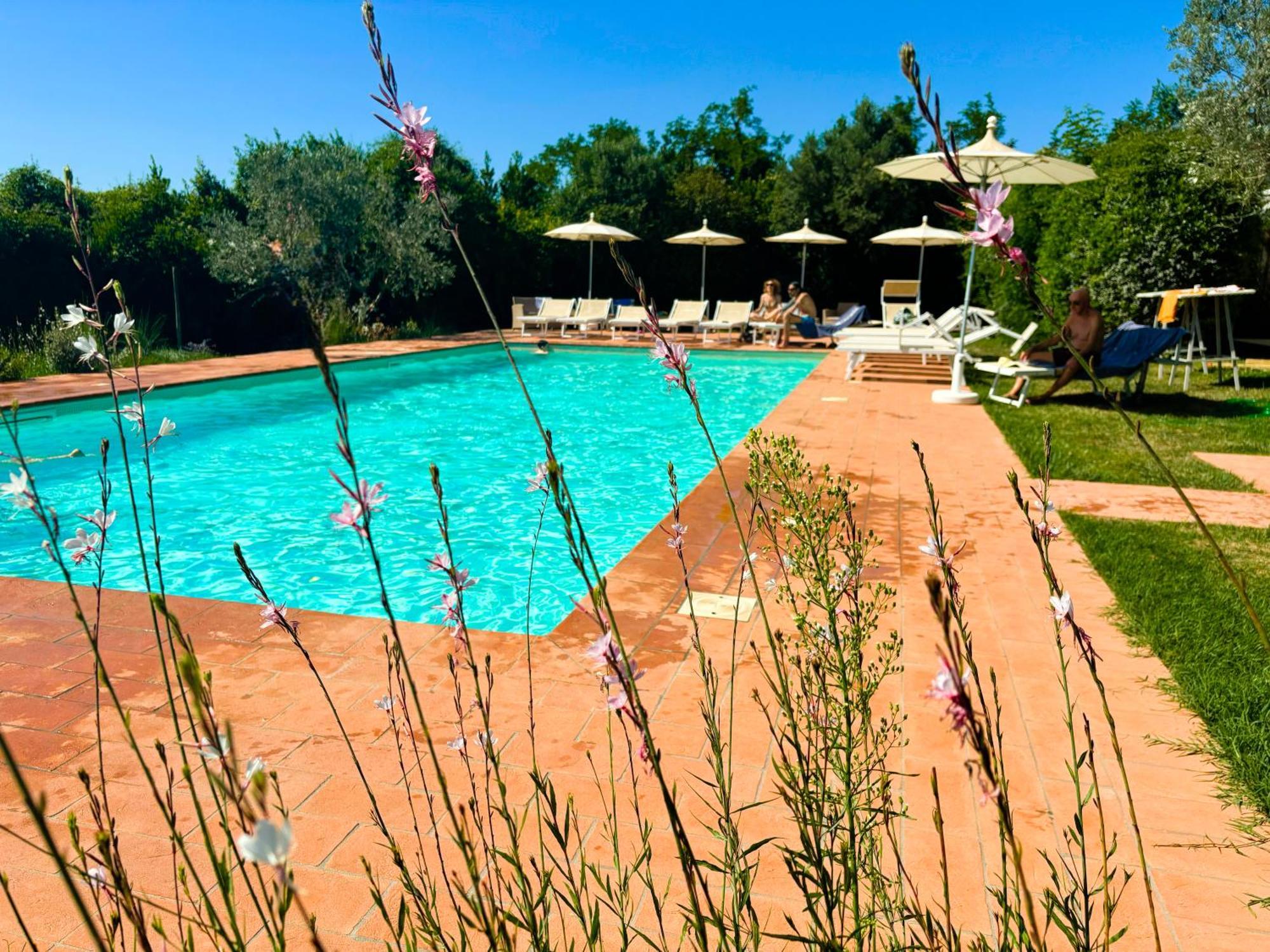 Nonna Nara Bed & Breakfast Grosseto Exterior foto