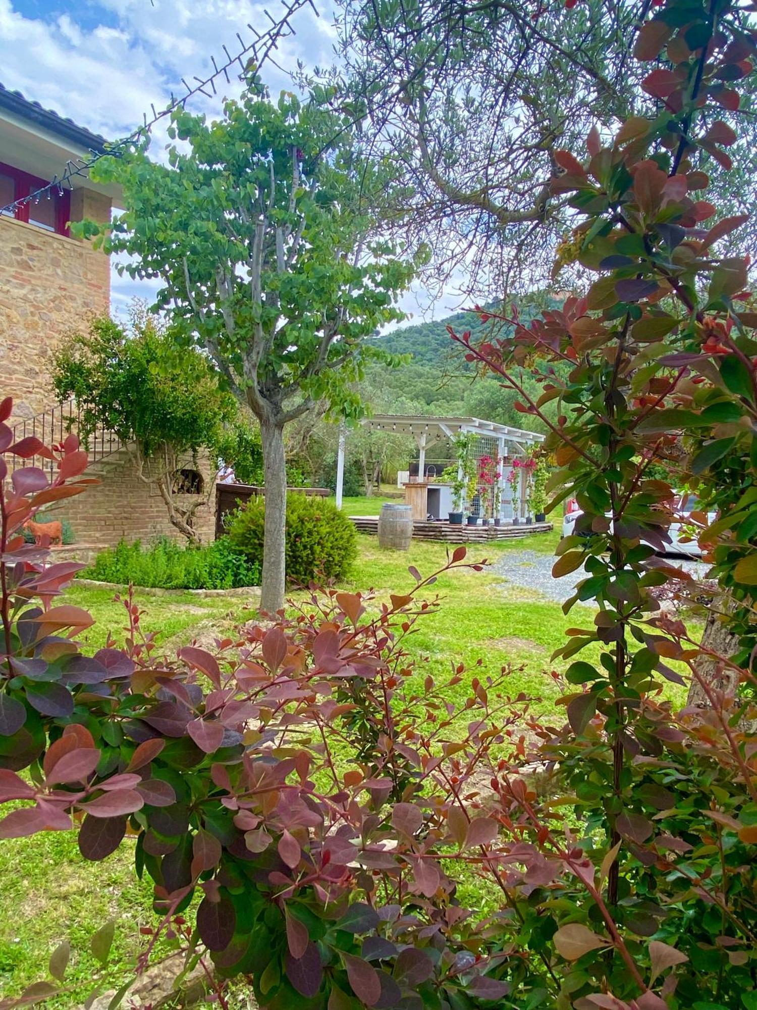 Nonna Nara Bed & Breakfast Grosseto Exterior foto